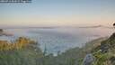 ./images/calvert/foggy-cove/20260716/foggy-cove20260716_062001M.jpg