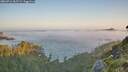 ./images/calvert/foggy-cove/20260716/foggy-cove20260716_062501M.jpg