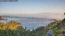./images/calvert/foggy-cove/20260716/foggy-cove20260716_064501M.jpg
