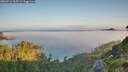 ./images/calvert/foggy-cove/20260716/foggy-cove20260716_065502M.jpg