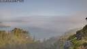 ./images/calvert/foggy-cove/20260716/foggy-cove20260716_073501M.jpg