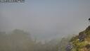 ./images/calvert/foggy-cove/20260716/foggy-cove20260716_081001M.jpg