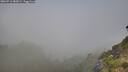 ./images/calvert/foggy-cove/20260716/foggy-cove20260716_082001M.jpg