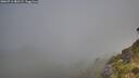 ./images/calvert/foggy-cove/20260716/foggy-cove20260716_082501M.jpg