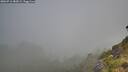 ./images/calvert/foggy-cove/20260716/foggy-cove20260716_083002M.jpg