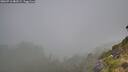 ./images/calvert/foggy-cove/20260716/foggy-cove20260716_083501M.jpg