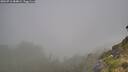 ./images/calvert/foggy-cove/20260716/foggy-cove20260716_084001M.jpg