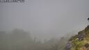 ./images/calvert/foggy-cove/20260716/foggy-cove20260716_084501M.jpg