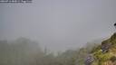 ./images/calvert/foggy-cove/20260716/foggy-cove20260716_085001M.jpg