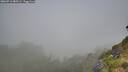 ./images/calvert/foggy-cove/20260716/foggy-cove20260716_085501M.jpg