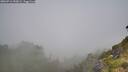 ./images/calvert/foggy-cove/20260716/foggy-cove20260716_090001M.jpg
