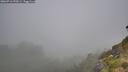 ./images/calvert/foggy-cove/20260716/foggy-cove20260716_090501M.jpg