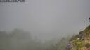 ./images/calvert/foggy-cove/20260716/foggy-cove20260716_091002M.jpg