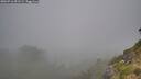 ./images/calvert/foggy-cove/20260716/foggy-cove20260716_091501M.jpg