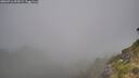 ./images/calvert/foggy-cove/20260716/foggy-cove20260716_092001M.jpg