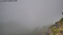 ./images/calvert/foggy-cove/20260716/foggy-cove20260716_092501M.jpg