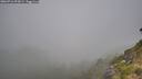 ./images/calvert/foggy-cove/20260716/foggy-cove20260716_093001M.jpg
