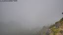 ./images/calvert/foggy-cove/20260716/foggy-cove20260716_093502M.jpg