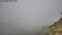 ./images/calvert/foggy-cove/20260716/foggy-cove20260716_094001M.jpg