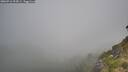 ./images/calvert/foggy-cove/20260716/foggy-cove20260716_094501M.jpg