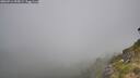 ./images/calvert/foggy-cove/20260716/foggy-cove20260716_095002M.jpg