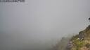 ./images/calvert/foggy-cove/20260716/foggy-cove20260716_095501M.jpg