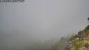 ./images/calvert/foggy-cove/20260716/foggy-cove20260716_100002M.jpg