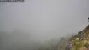 ./images/calvert/foggy-cove/20260716/foggy-cove20260716_100501M.jpg