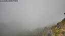 ./images/calvert/foggy-cove/20260716/foggy-cove20260716_101002M.jpg