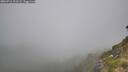 ./images/calvert/foggy-cove/20260716/foggy-cove20260716_101501M.jpg