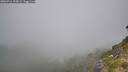 ./images/calvert/foggy-cove/20260716/foggy-cove20260716_102001M.jpg