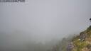 ./images/calvert/foggy-cove/20260716/foggy-cove20260716_102502M.jpg
