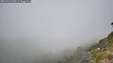 ./images/calvert/foggy-cove/20260716/foggy-cove20260716_103501M.jpg