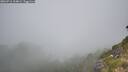 ./images/calvert/foggy-cove/20260716/foggy-cove20260716_104001M.jpg
