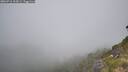 ./images/calvert/foggy-cove/20260716/foggy-cove20260716_104501M.jpg
