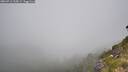 ./images/calvert/foggy-cove/20260716/foggy-cove20260716_105002M.jpg