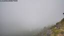 ./images/calvert/foggy-cove/20260716/foggy-cove20260716_105501M.jpg
