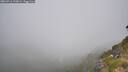 ./images/calvert/foggy-cove/20260716/foggy-cove20260716_110001M.jpg