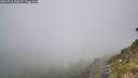 ./images/calvert/foggy-cove/20260716/foggy-cove20260716_110502M.jpg