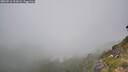 ./images/calvert/foggy-cove/20260716/foggy-cove20260716_111001M.jpg