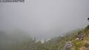 ./images/calvert/foggy-cove/20260716/foggy-cove20260716_112001M.jpg