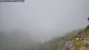 ./images/calvert/foggy-cove/20260716/foggy-cove20260716_114001M.jpg