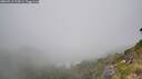 ./images/calvert/foggy-cove/20260716/foggy-cove20260716_114501M.jpg