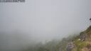 ./images/calvert/foggy-cove/20260716/foggy-cove20260716_115002M.jpg