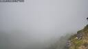 ./images/calvert/foggy-cove/20260716/foggy-cove20260716_120001M.jpg