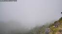 ./images/calvert/foggy-cove/20260716/foggy-cove20260716_120501M.jpg