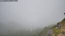 ./images/calvert/foggy-cove/20260716/foggy-cove20260716_121001M.jpg