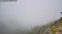 ./images/calvert/foggy-cove/20260716/foggy-cove20260716_122001M.jpg