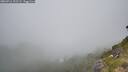 ./images/calvert/foggy-cove/20260716/foggy-cove20260716_122501M.jpg
