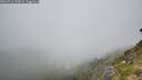 ./images/calvert/foggy-cove/20260716/foggy-cove20260716_123001M.jpg